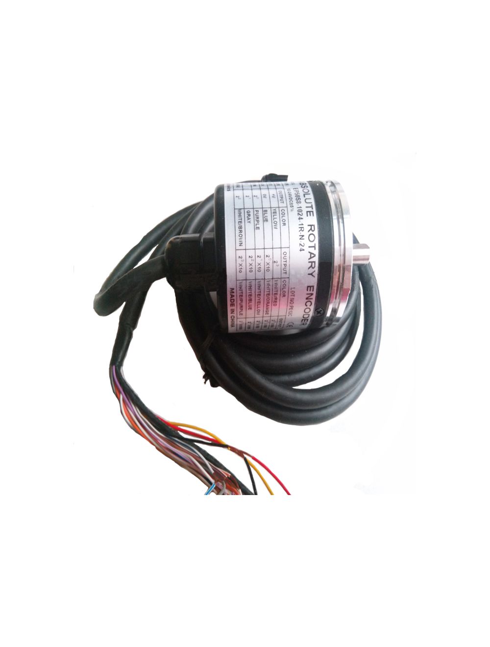 main product photo