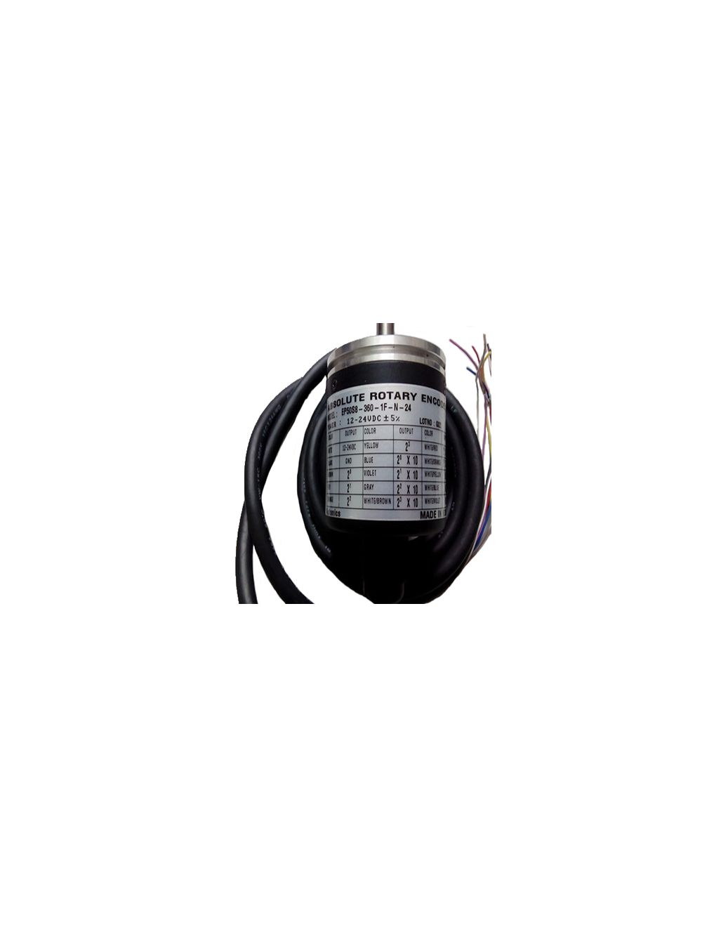 main product photo