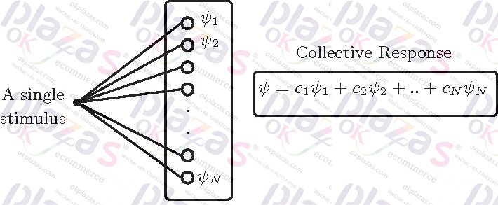 Quantum machine learning quantum autoencoder can eliminate the noise of ...