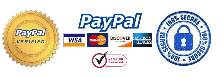 paypal checkout secure
